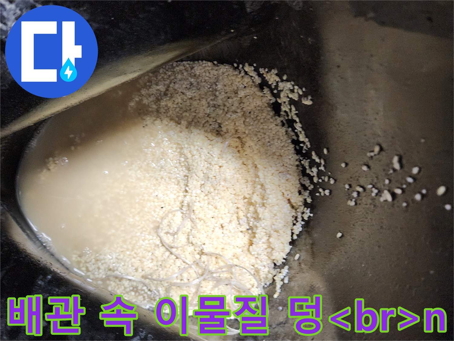 싱크대 배관에서 추출된\n탁한 오수와 유지방 찌꺼기