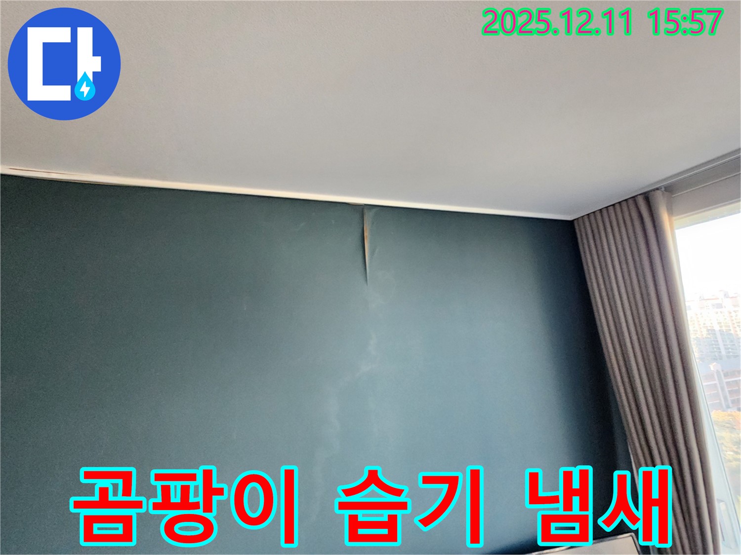 곰팡이 - 악취 - 습기 3중고 - 포천 누수 전문가의 완벽 해결