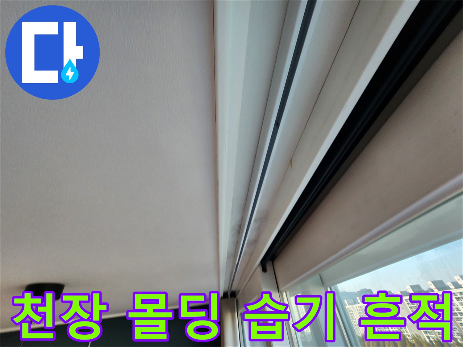습기로 인해 변색된 천장 몰딩과 도배지 경계