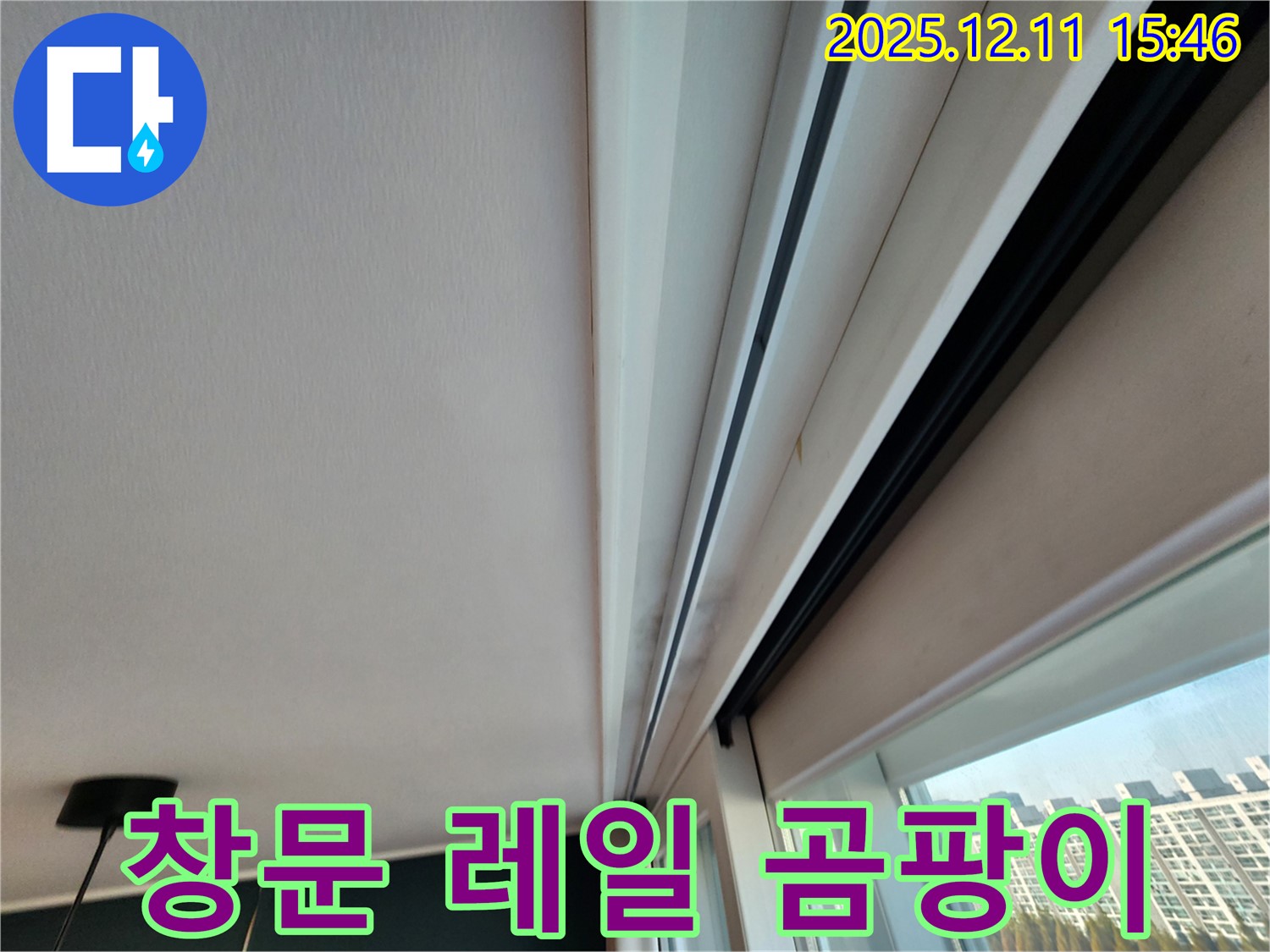 영중면 남궁리 창문 레일 곰팡이 - 실리콘 문제로 인한 누수 진단
