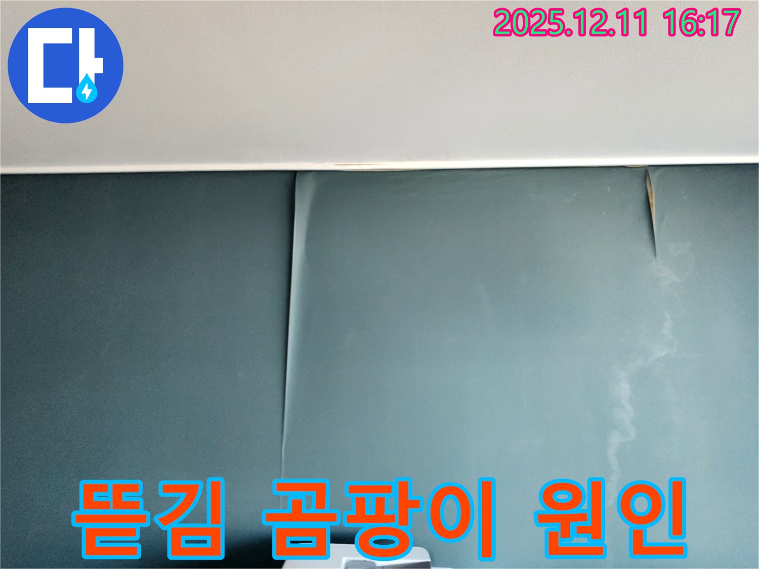 포천 영중면 남궁리 - 벽지 뜯어짐과 곰팡이의 누수 원인 진단 및 해결, 건강까지 생각하는 솔루션 제공
