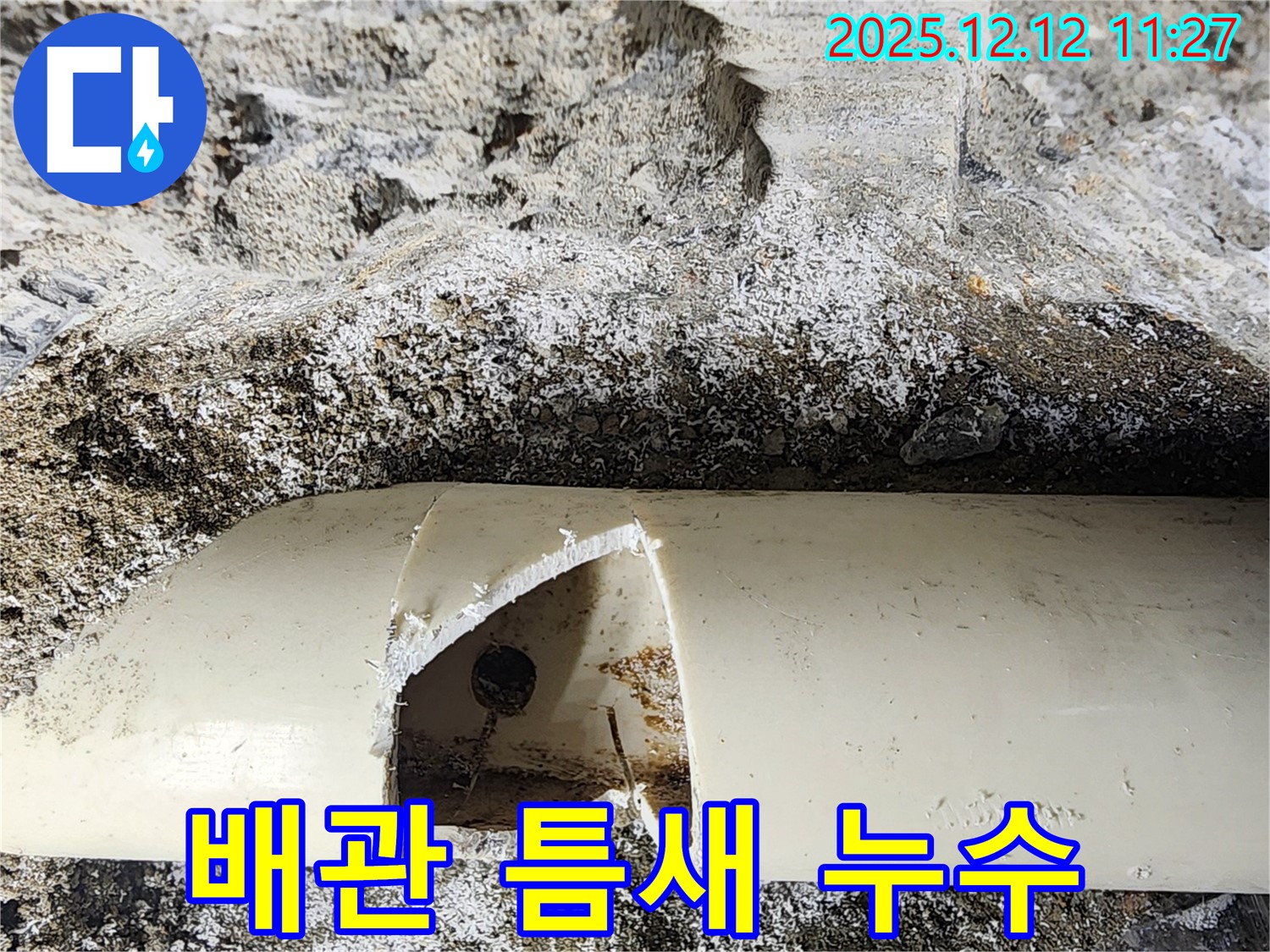 포천 영중면 누수 현장 - 배관에 생긴 틈에서 누수가 발생했습니다. 누수 전문가가 신속하게 누수 원인을 진단하고 완벽하게 수리했습니다.