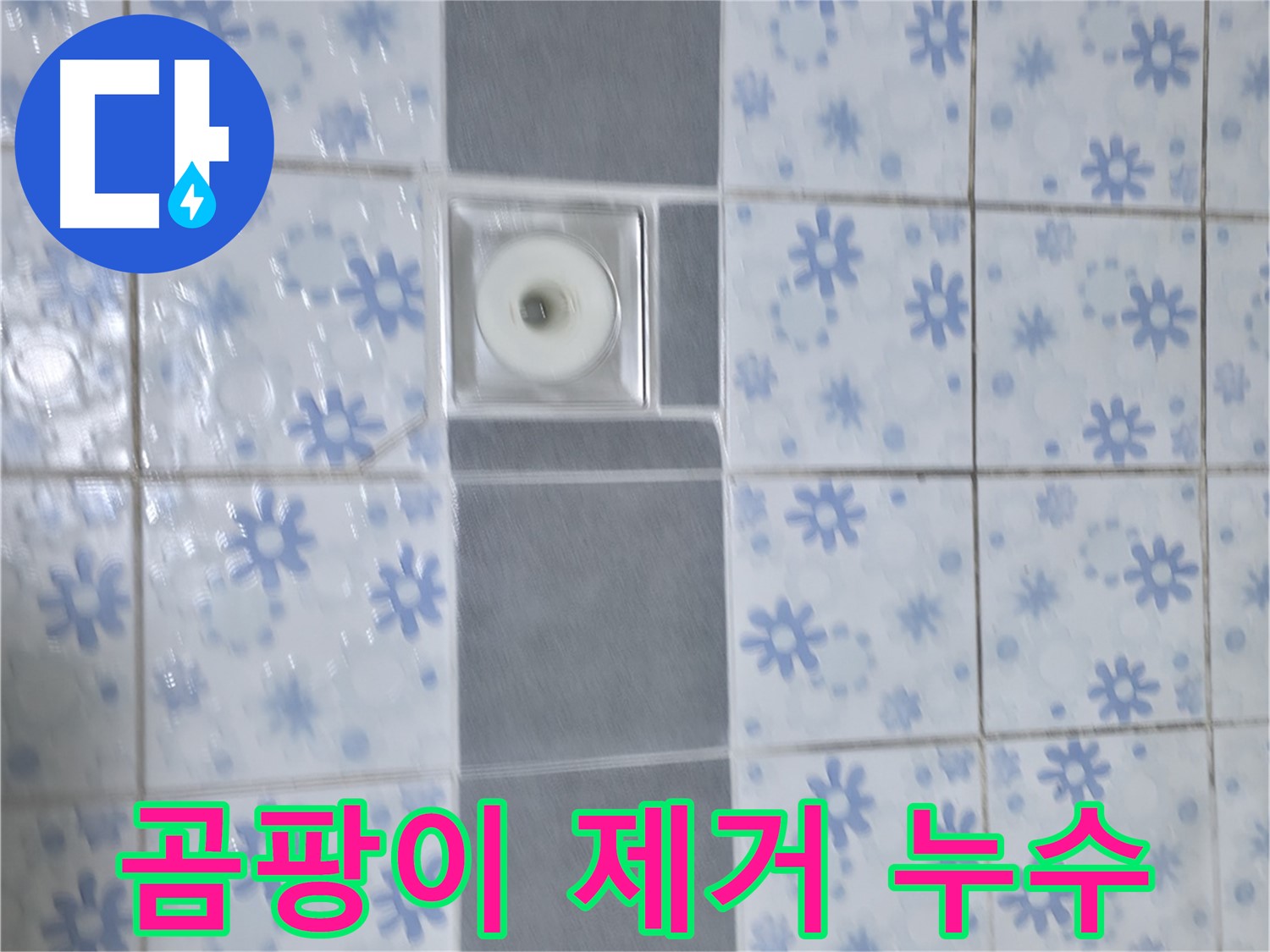 곡반정동 누수, 배수구 주변 곰팡이 제거와 누수 해결 - 곰팡이 제거는 물론, 누수 문제까지 깔끔하게 해결했습니다.