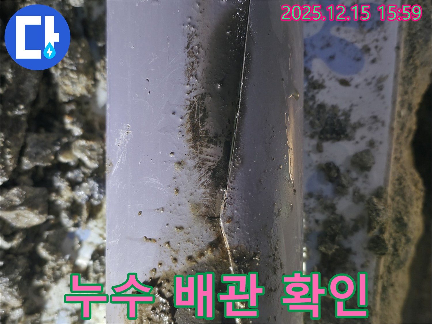 누수가 발생한 배관의 상태를 꼼꼼히 확인하고 있습니다 - 수원 권선구 곡반정동 누수 현장