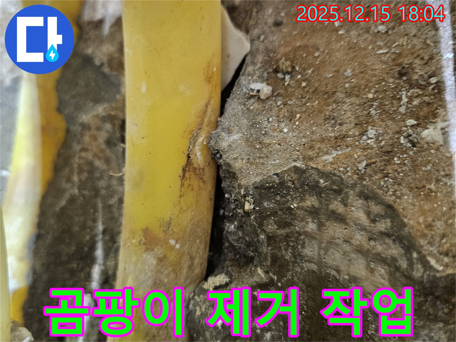 장안동 래미안장안2차 아파트 - 누수 부위 주변 곰팡이 제거로 쾌적한 환경 조성
