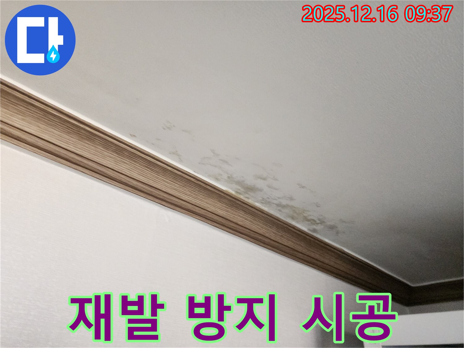 경기도 포천시 곰팡이 천장 - 재발 방지 시공으로 깨끗하게 유지!