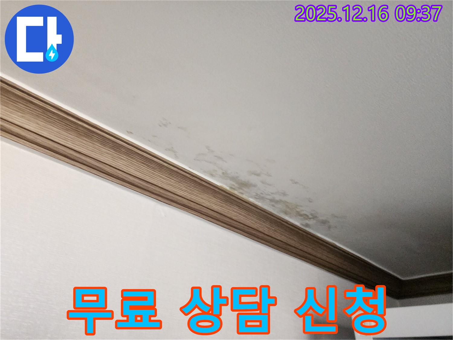 경기도 포천시 영북면 누수 - 곰팡이 핀 천장, 누수 해결과 곰팡이 제거, 지금 바로 무료 상담 신청하세요