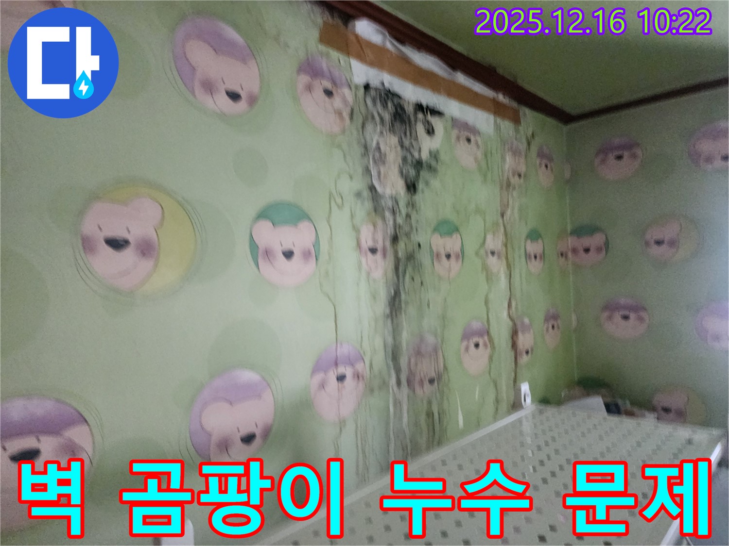 경기도 포천시 영북면 운천리 주택의 벽 곰팡이와 누수 문제 - 전문 업체의 확실한 해결 약속
