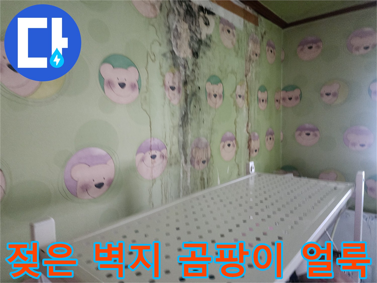 벽면을 타고 번진 누수 흔적과 곰팡이 오염 부위