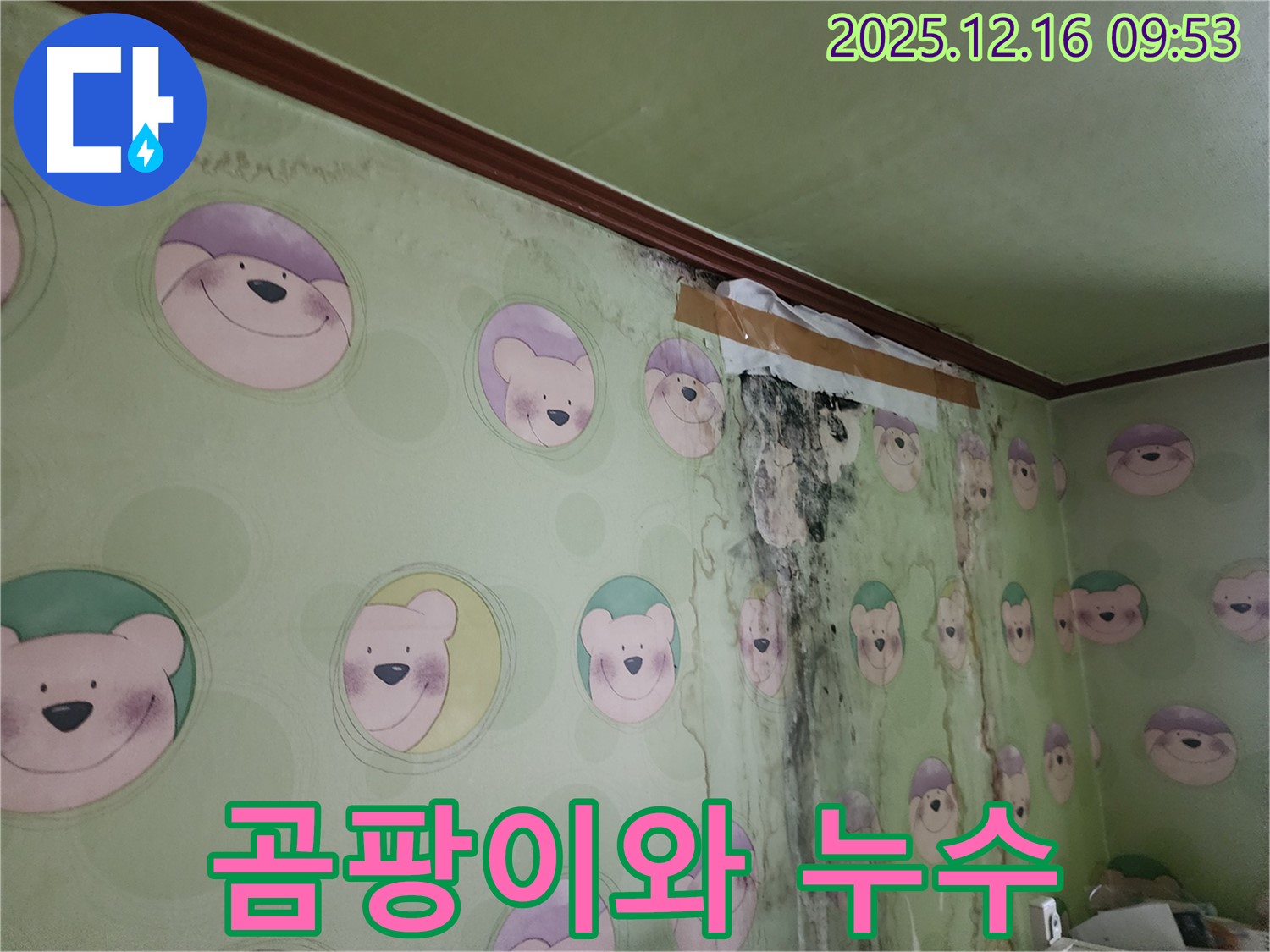 벽에 곰팡이가 피어 있고, 누수로 인해 벽지가 손상된 모습 - 누수와 곰팡이 문제를 동시에 해결해야 합니다.