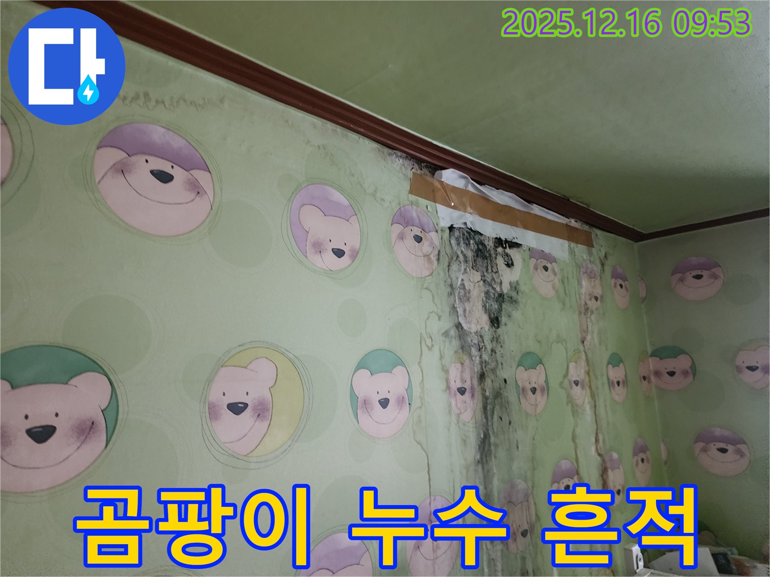 벽에 곰팡이와 함께 누수로 인한 물 자국이 선명하게 보이는 사진입니다 - 빠른 조치가 필요합니다.