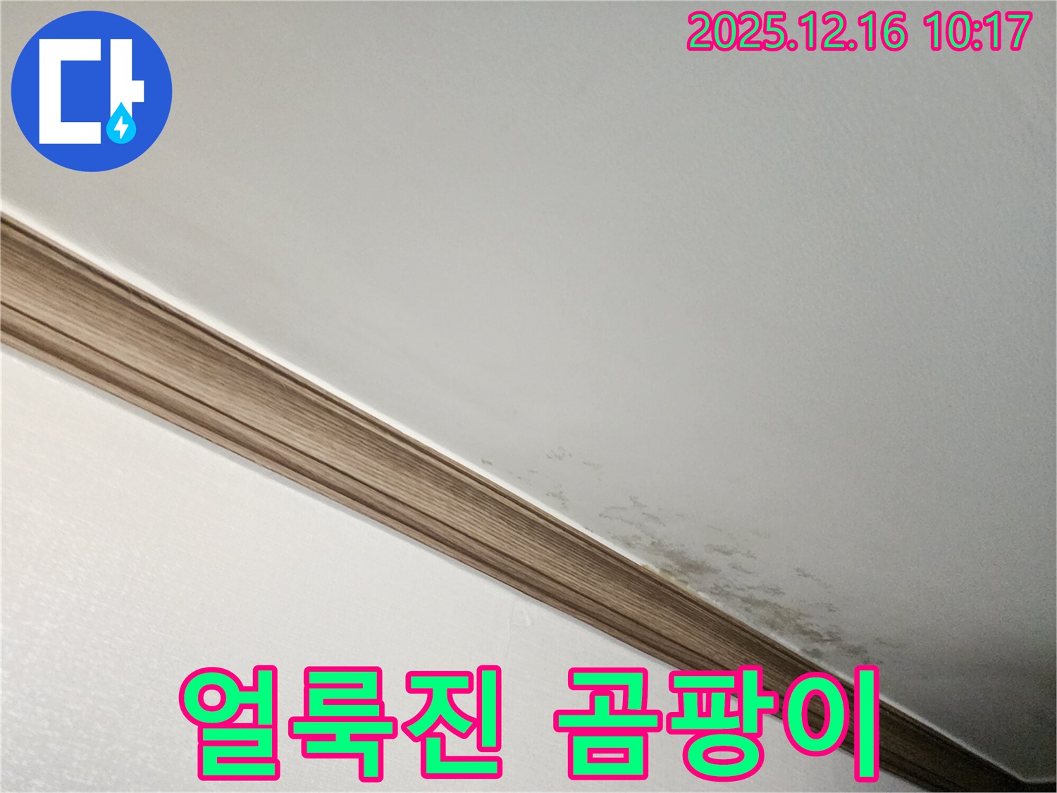 영북면 운천리 얼룩진 곰팡이 - 누수로 인한 천장 손상 및 확실한 해결책 제시