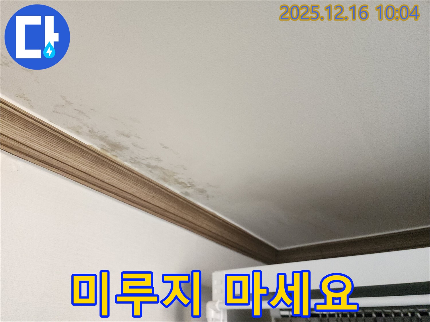 운천리 곰팡이 천장 - 누수 문제, 더 이상 미루지 말고 전문가에게 맡기세요! - 누수 전문가
