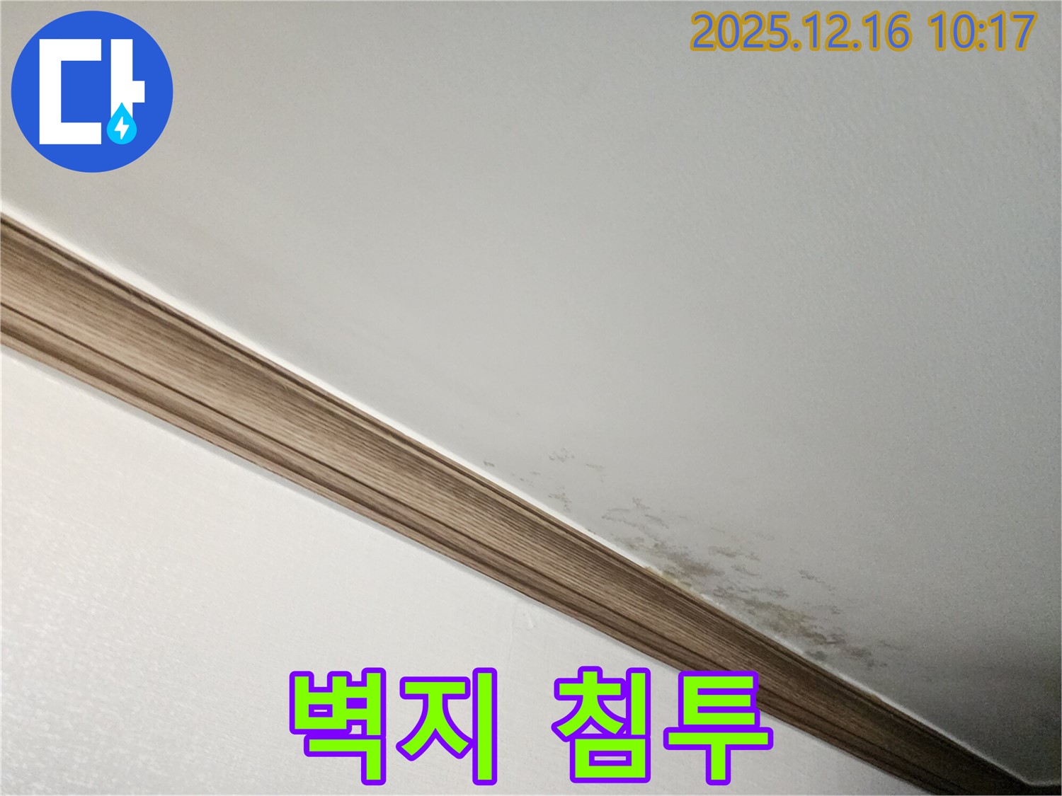 포천시 영북면 운천리 곰팡이 천장 - 곰팡이, 벽지 속까지 침투?!