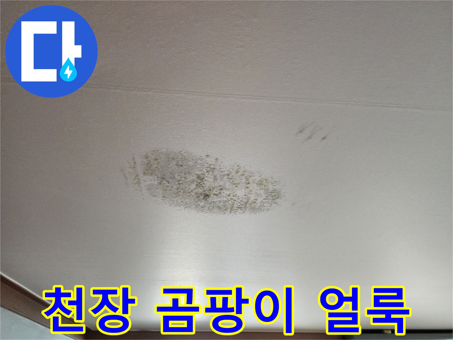 포천 영북면 현장 - 천장 마감재에 발생한 곰팡이와 습기 흔적