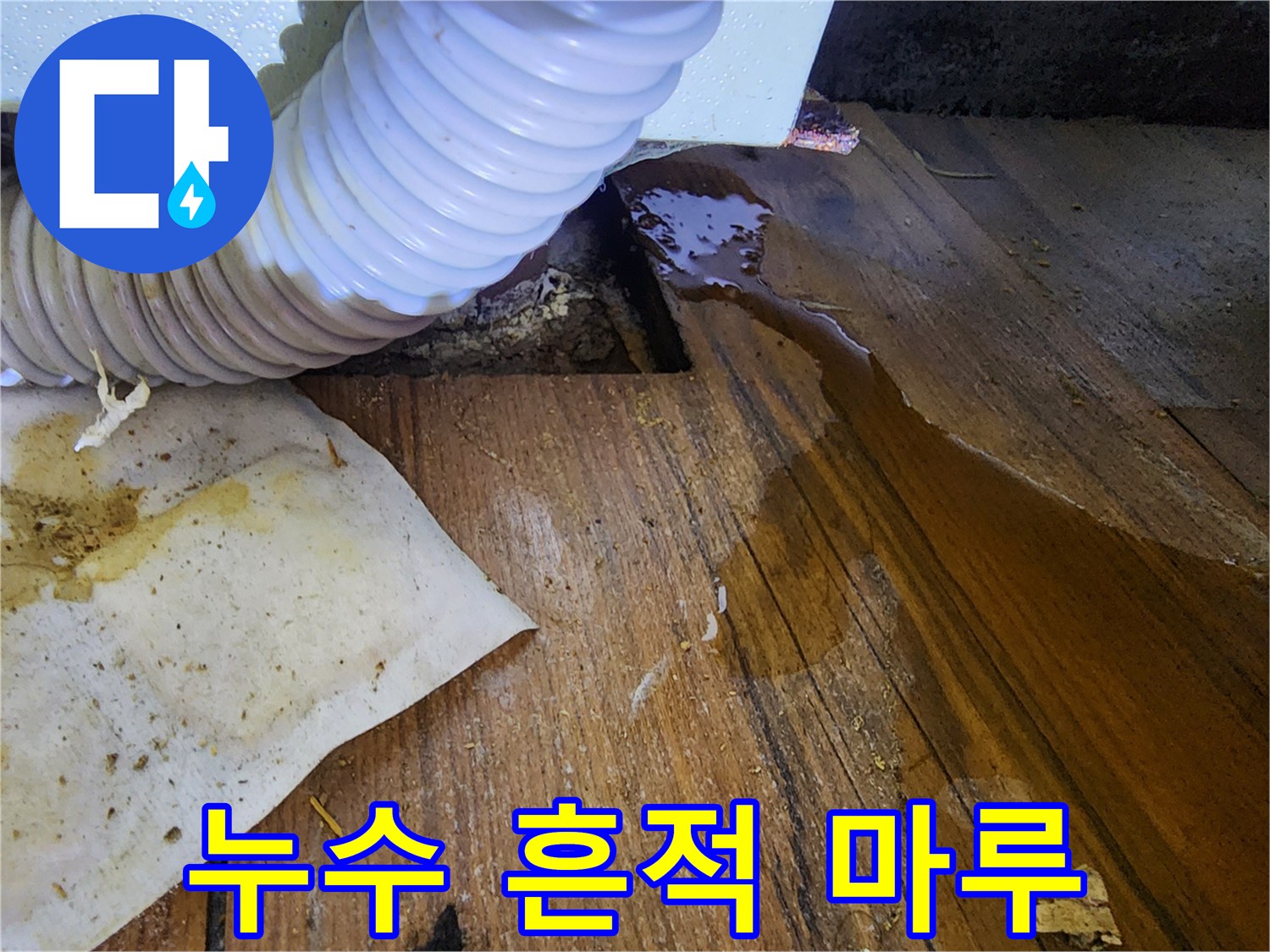 싱크대 아래 배관-주변에 고여 있는 누수된 물