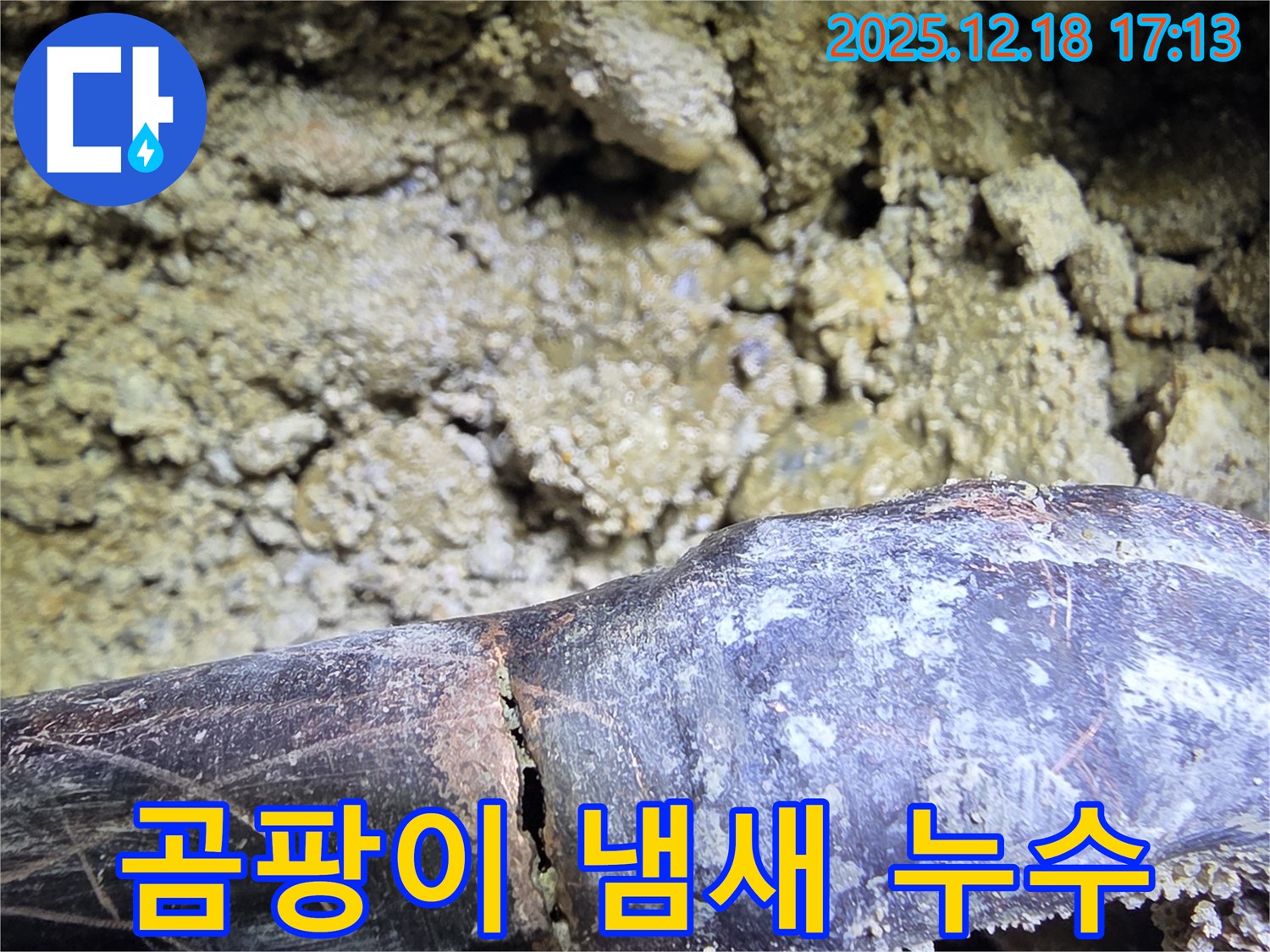 곰팡이 냄새의 진실 - 시흥 신천동 누수탐지 전문