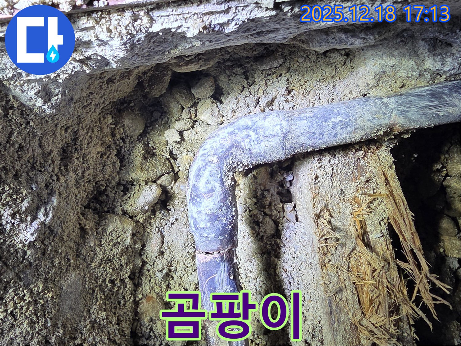 시흥 신천동 - 배관 주변에 곰팡이가 피어있습니다 - 습한 환경이 지속되고 있음을 나타냅니다.