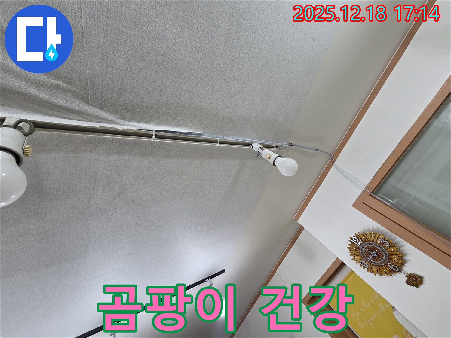 신천동 누수 - 천장 누수, 곰팡이 발생과 건강 위협