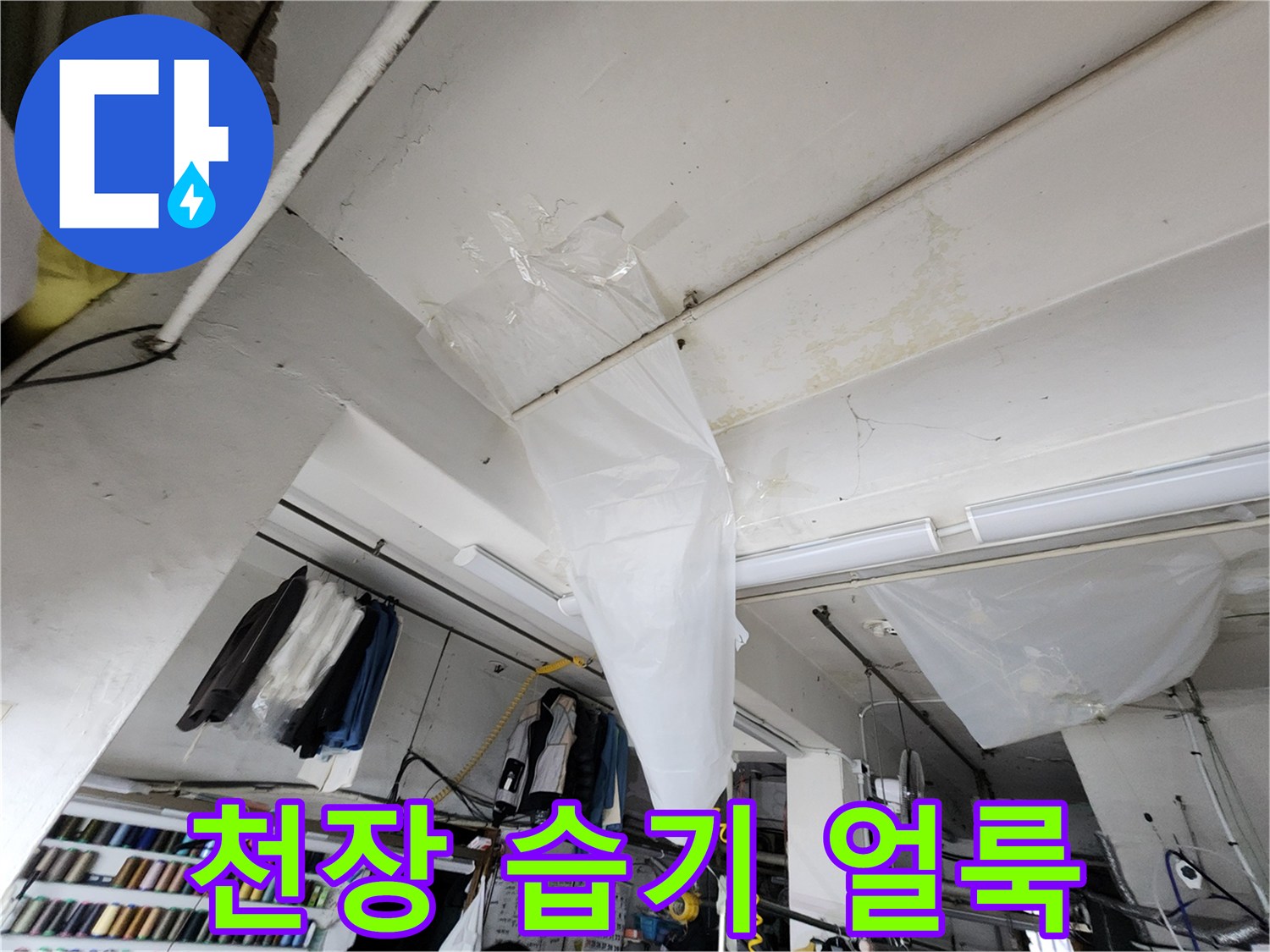 천장 부근의 습기와 오염된 흔적을 보여주는 사진