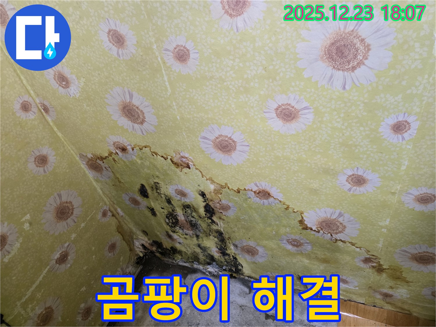 동두천 생연동 주택 벽 누수 곰팡이 해결 - 완벽한 시공으로 곰팡이 걱정 없는 쾌적한 공간 완성.