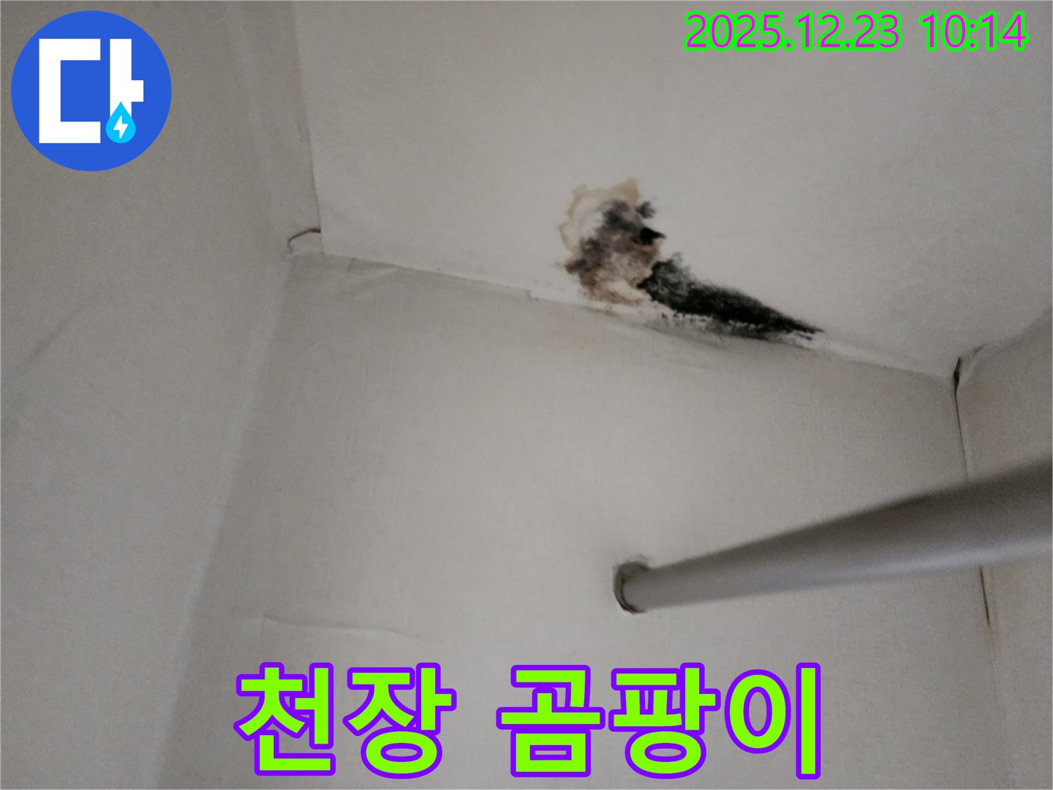 양주시 베란다 천장 누수 - 곰팡이로 뒤덮인 천장