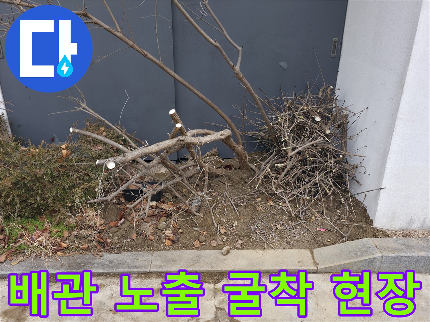 건물 외벽 하단-배관 확인을 위해 파낸 화단 지점