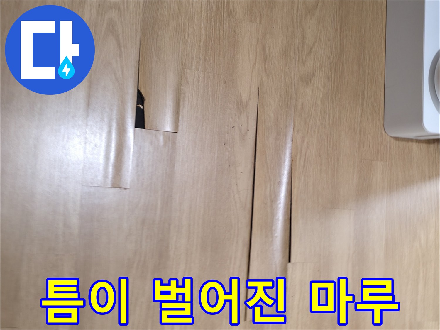 물샘-증상으로-벌어진-마루-틈