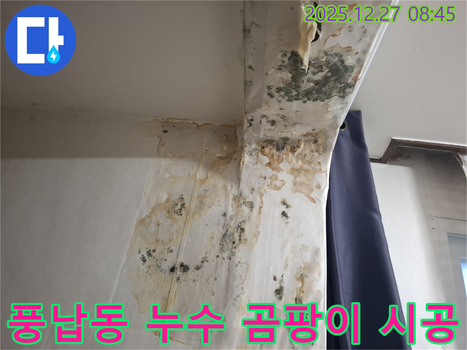 풍납동 누수 현장 - 곰팡이 제거 및 방지 시공, 누수탐지 전문가의 완벽한 마무리
