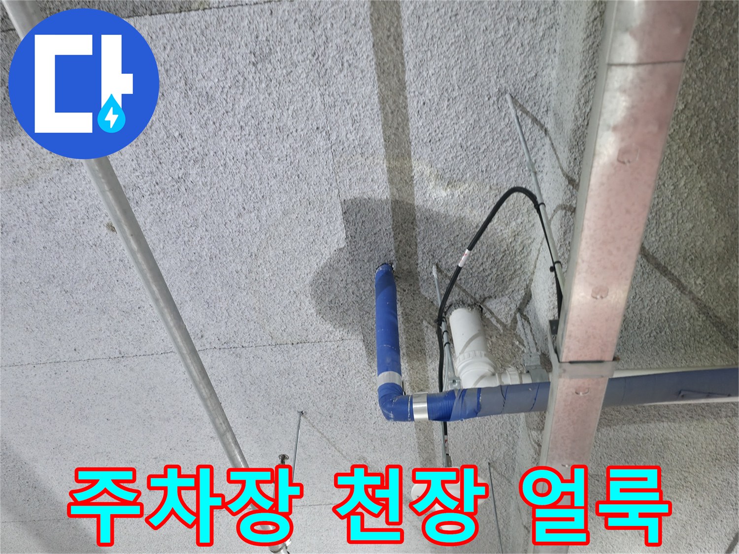 양주 옥정동 주차장 천장 슬래브에 발생한 누수 흔적과 젖은 자국