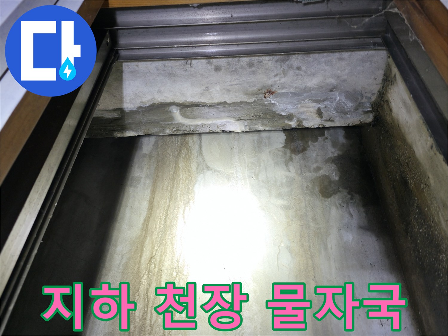 용인 수지구 지하층 천장 벽면의 누수 흔적과 습기 상태