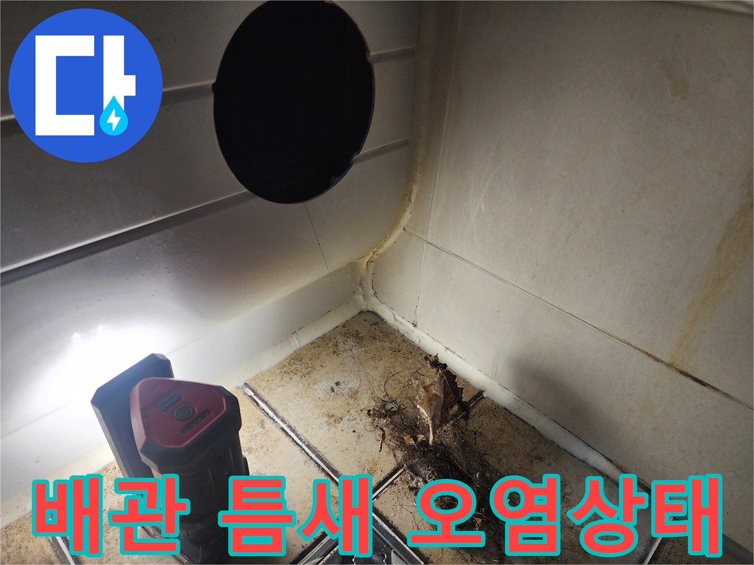 유가-주변의-축축한-이물질과-오염물
