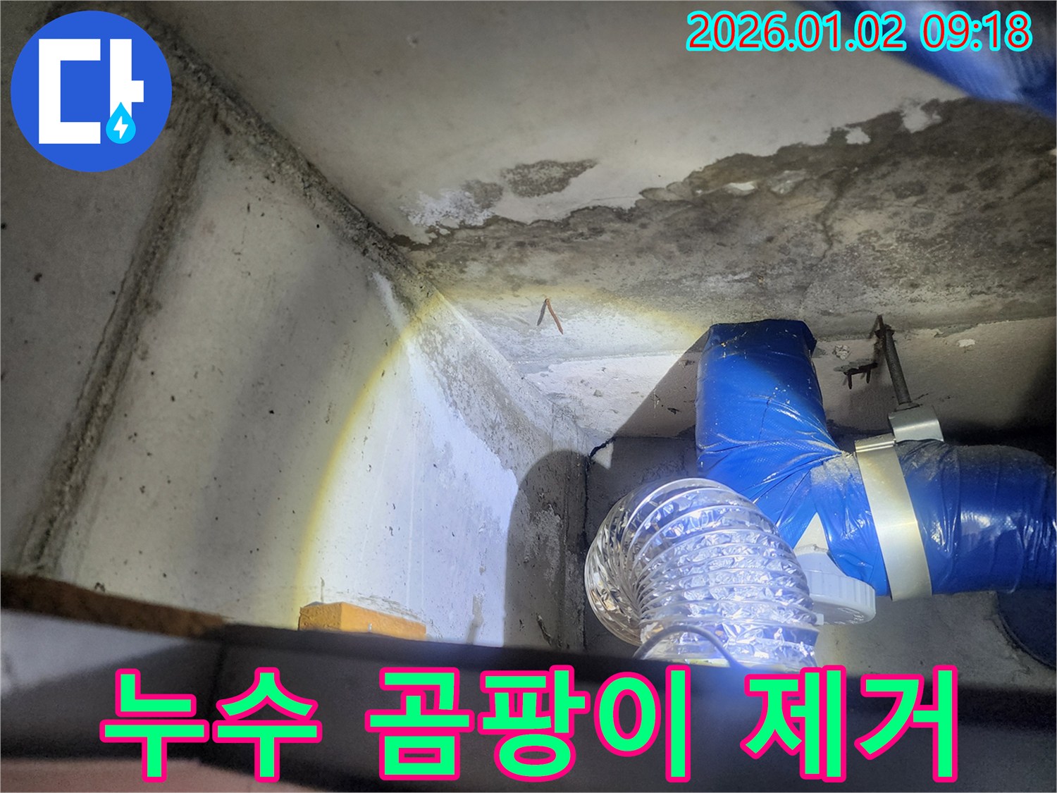 누수 곰팡이 제거 - 누수 후 발생한 곰팡이를 제거하는 모습