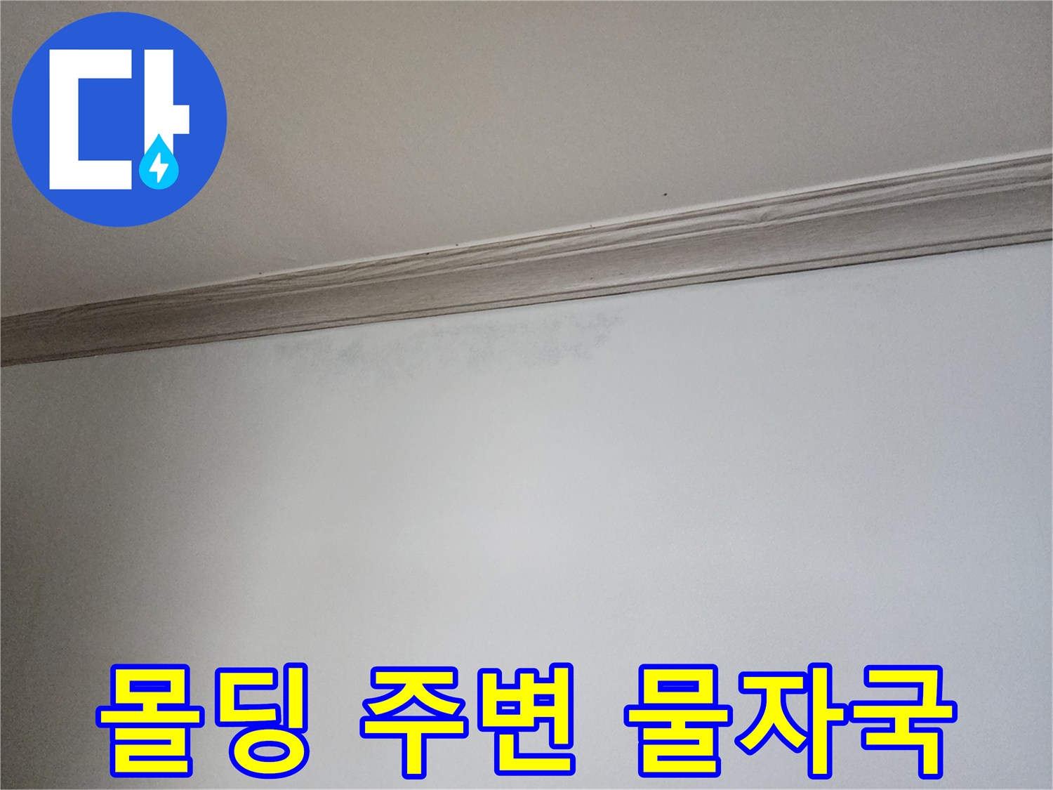 천장-몰딩-라인을-따라-발생한-습기-흔적
