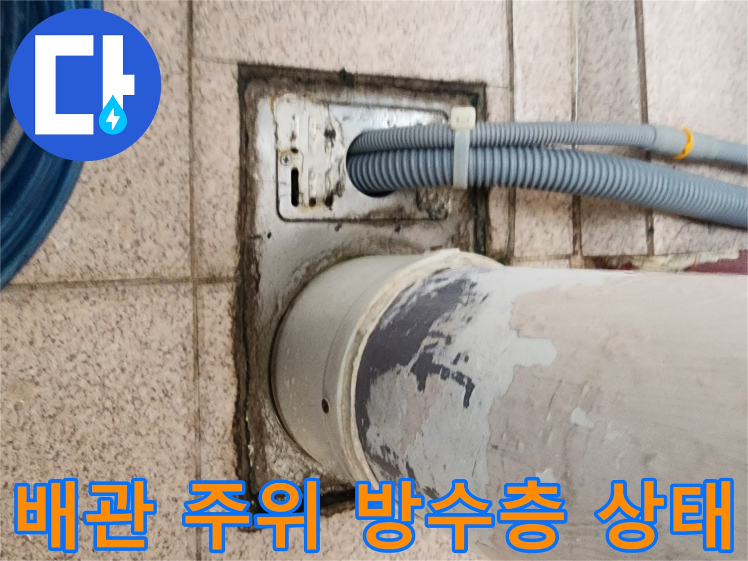 화장실-배수구-연결-배관의-틈새와-습기-상태