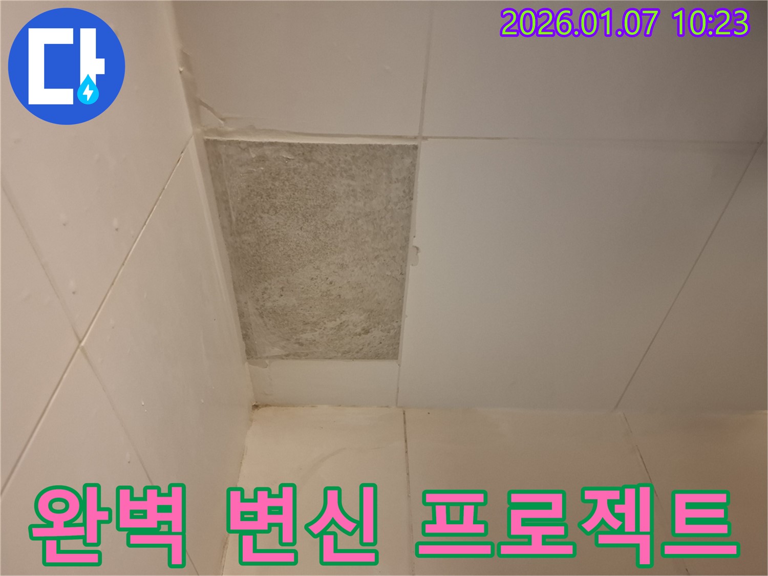 용인시 처인구 - 곰팡이 핀 타일, 완벽 변신 프로젝트로 쾌적한 공간을 되찾으세요!