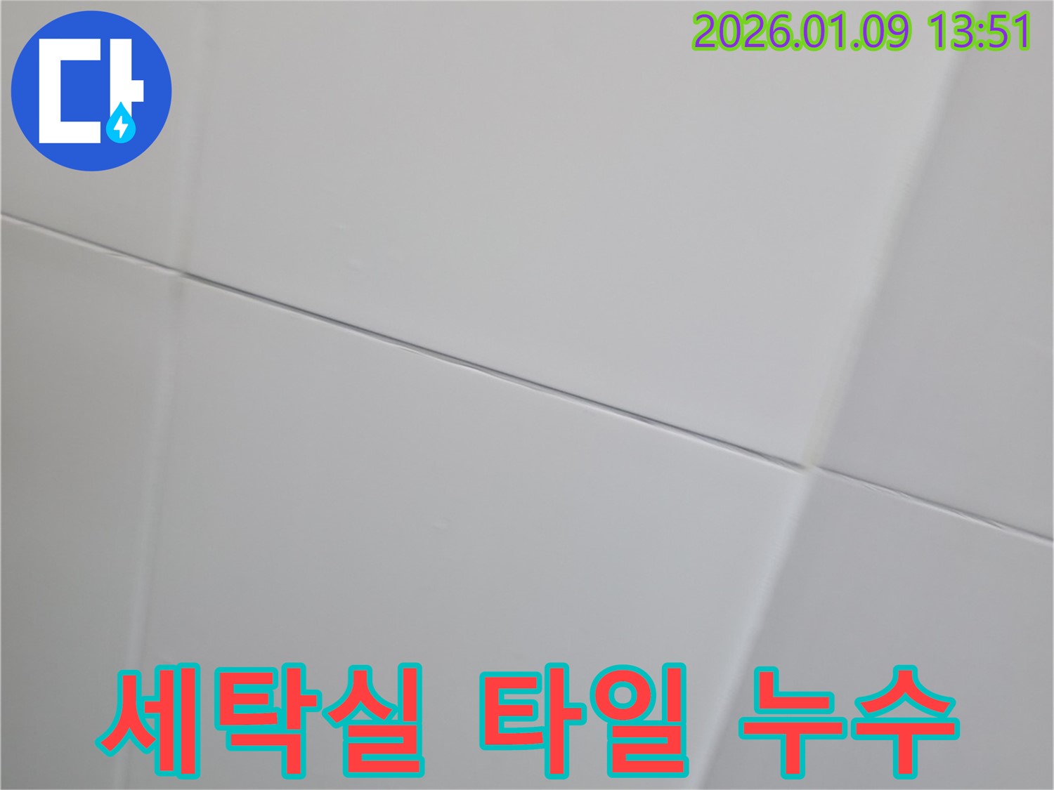 선동에서 세탁실 타일 틈새에서 발생하는 누수를 보여주는 이미지 - 습기와의 전쟁.