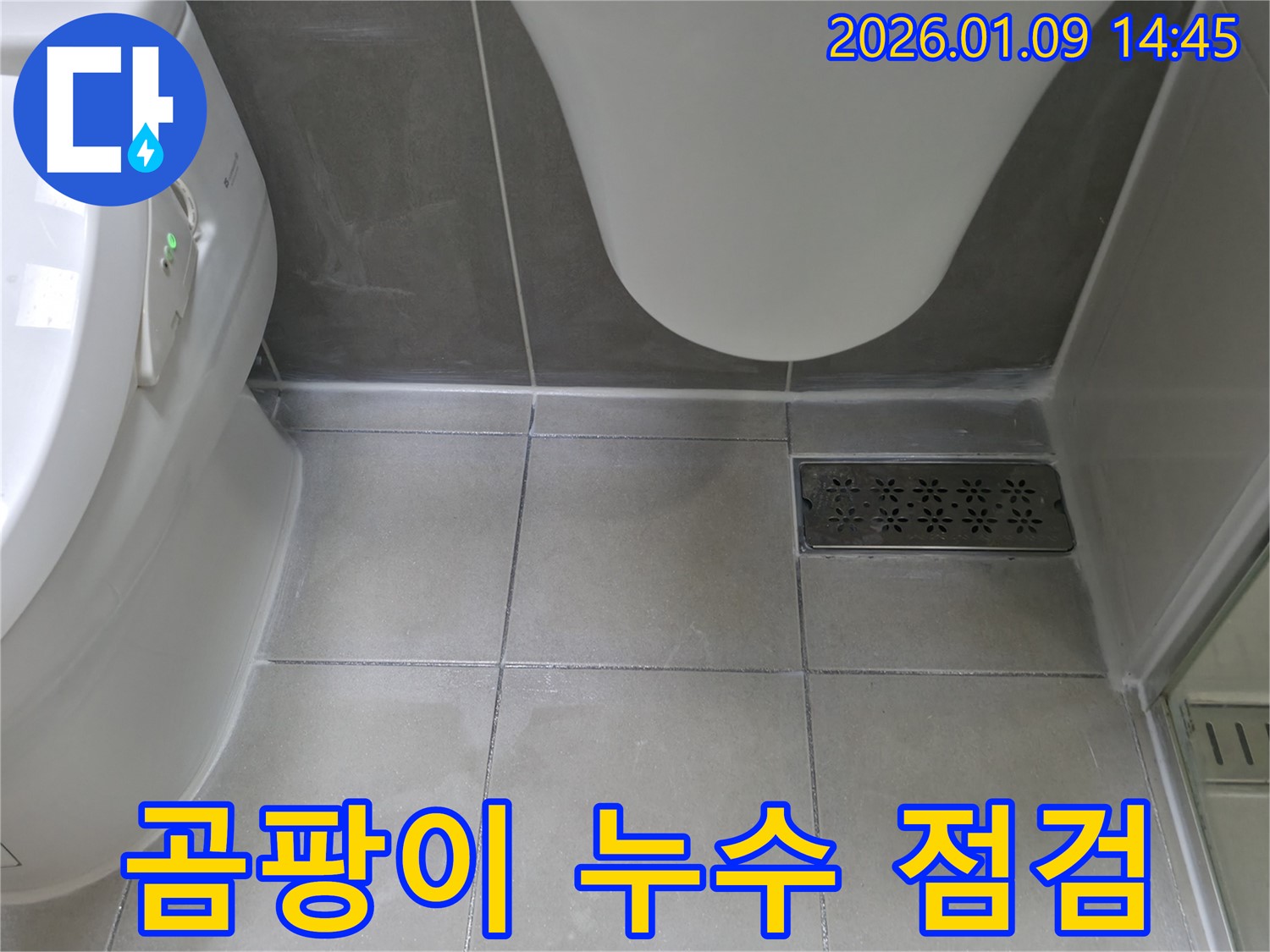 하남시 - 변기 앞쪽 타일 곰팡이와 백시멘트 들뜸으로 인한 누수 가능성 점검