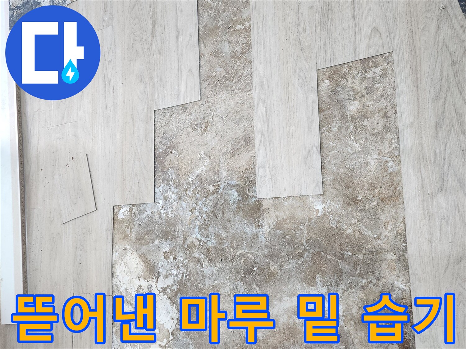 누수 확인을 위해-탈거한 마루 아래 젖은 바닥면