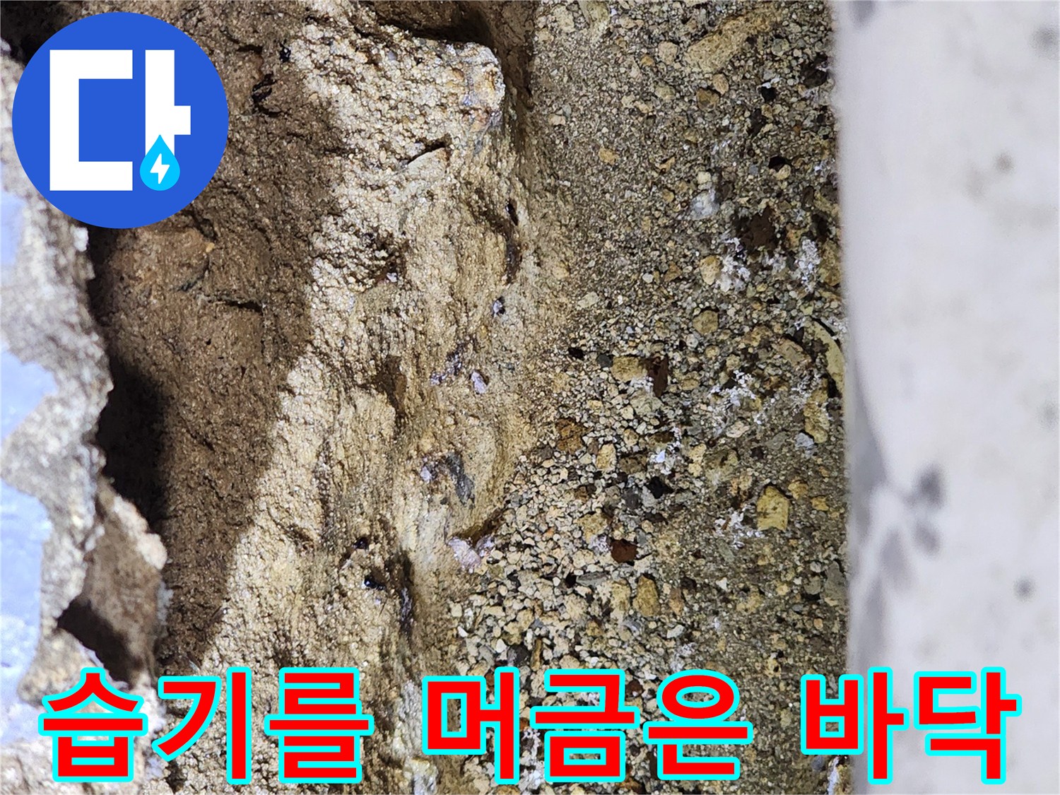 축축하게-젖어있는-지하-집수정-부근-바닥