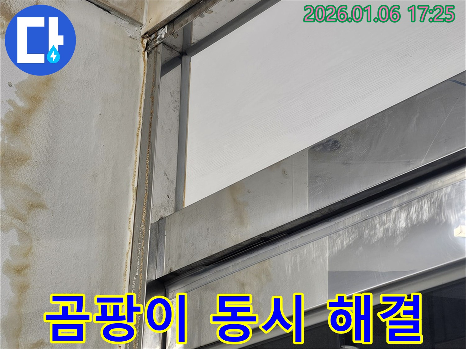 곰팡이 동시 해결 - 누수와 곰팡이 문제, 한 번에 해결