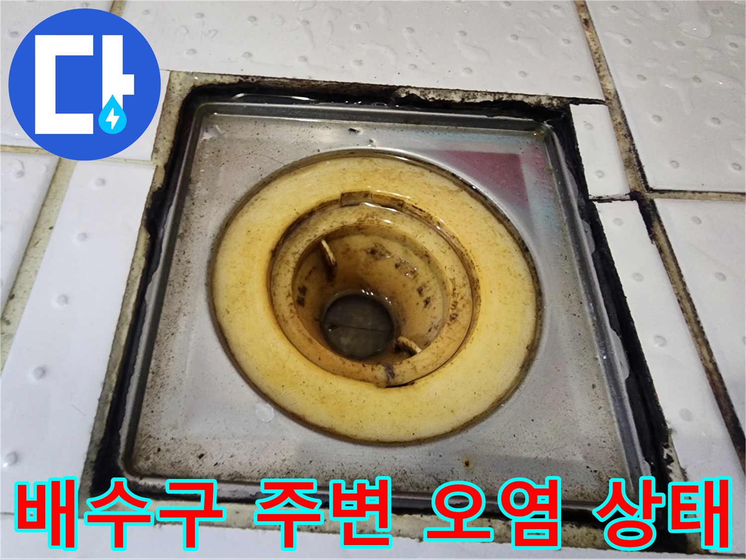 화장실-배수구-주변의-찌꺼기와-오염된-상태를-포착한-사진