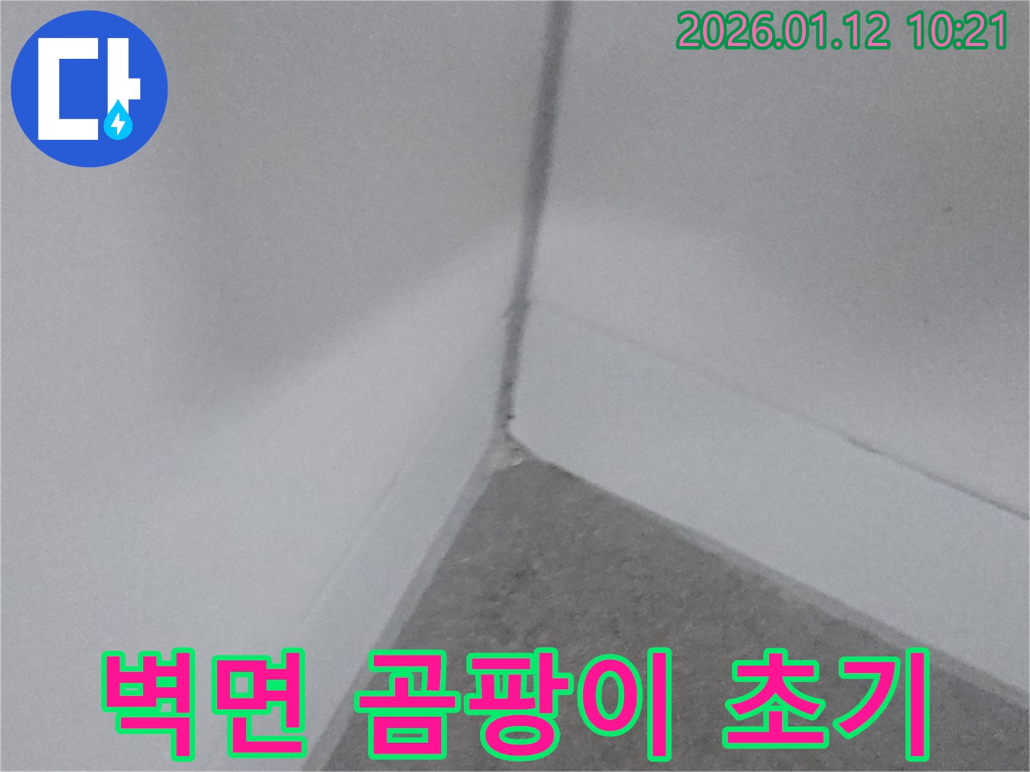 벽면 곰팡이 초기 - 벽에 곰팡이가 막 피어나는 모습