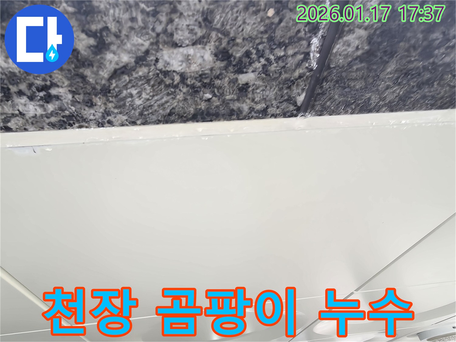 중랑구 망우동 주택 천장 누수로 인한 곰팡이 발생-제거 및 방수 시공