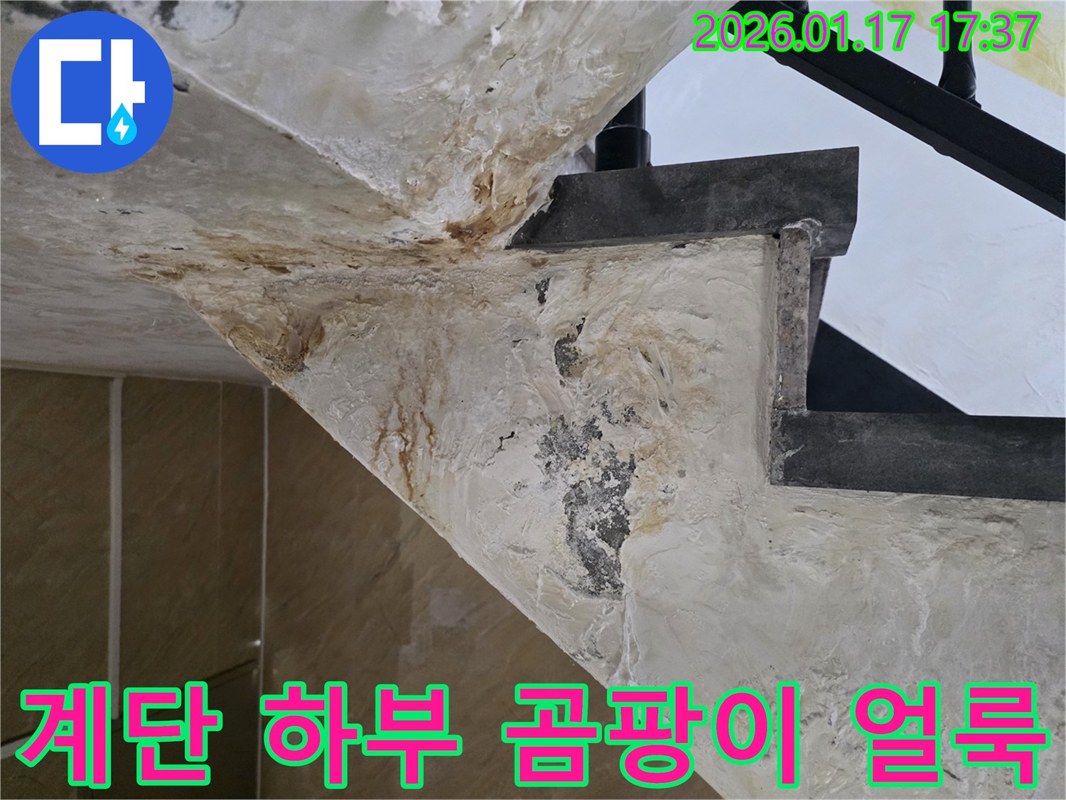 중랑구 면목동 계단 하부-에 발생한 곰팡이와 누수 얼룩-을 전문가가 완벽하게 제거하는 현장