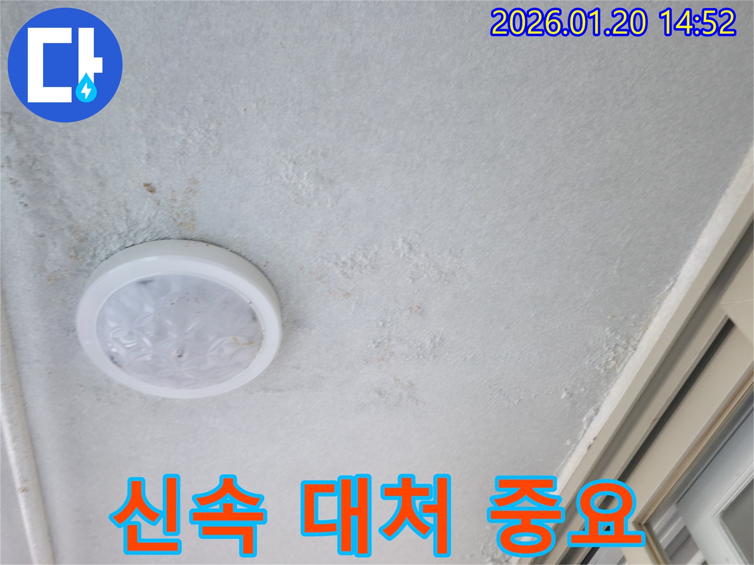 마포구 빌라 천장 누수-누수 발생 시 신속한 대처의 중요성을 강조하는 현장
