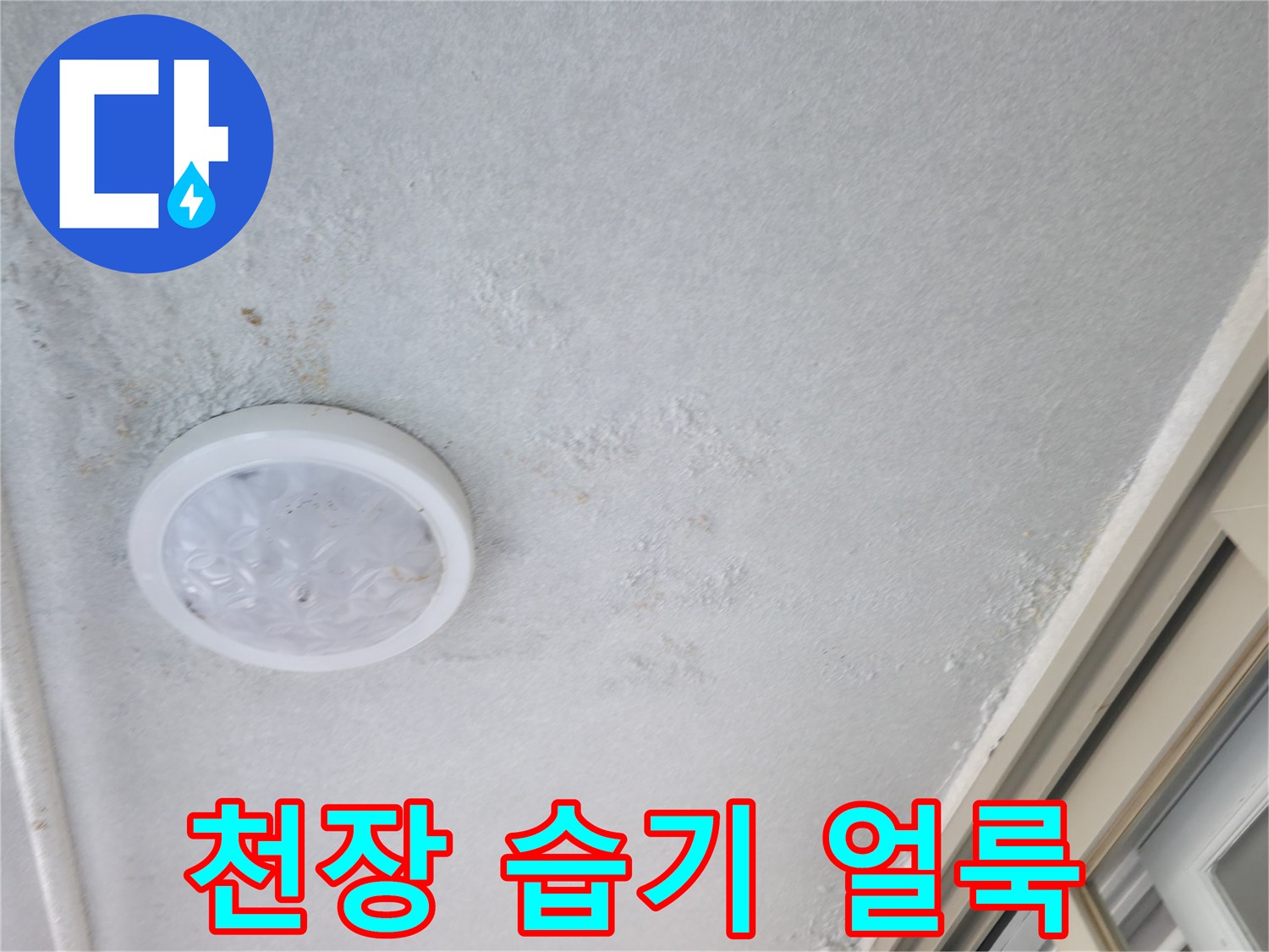 천장 마감재에 나타난 광범위한 물샘 흔적