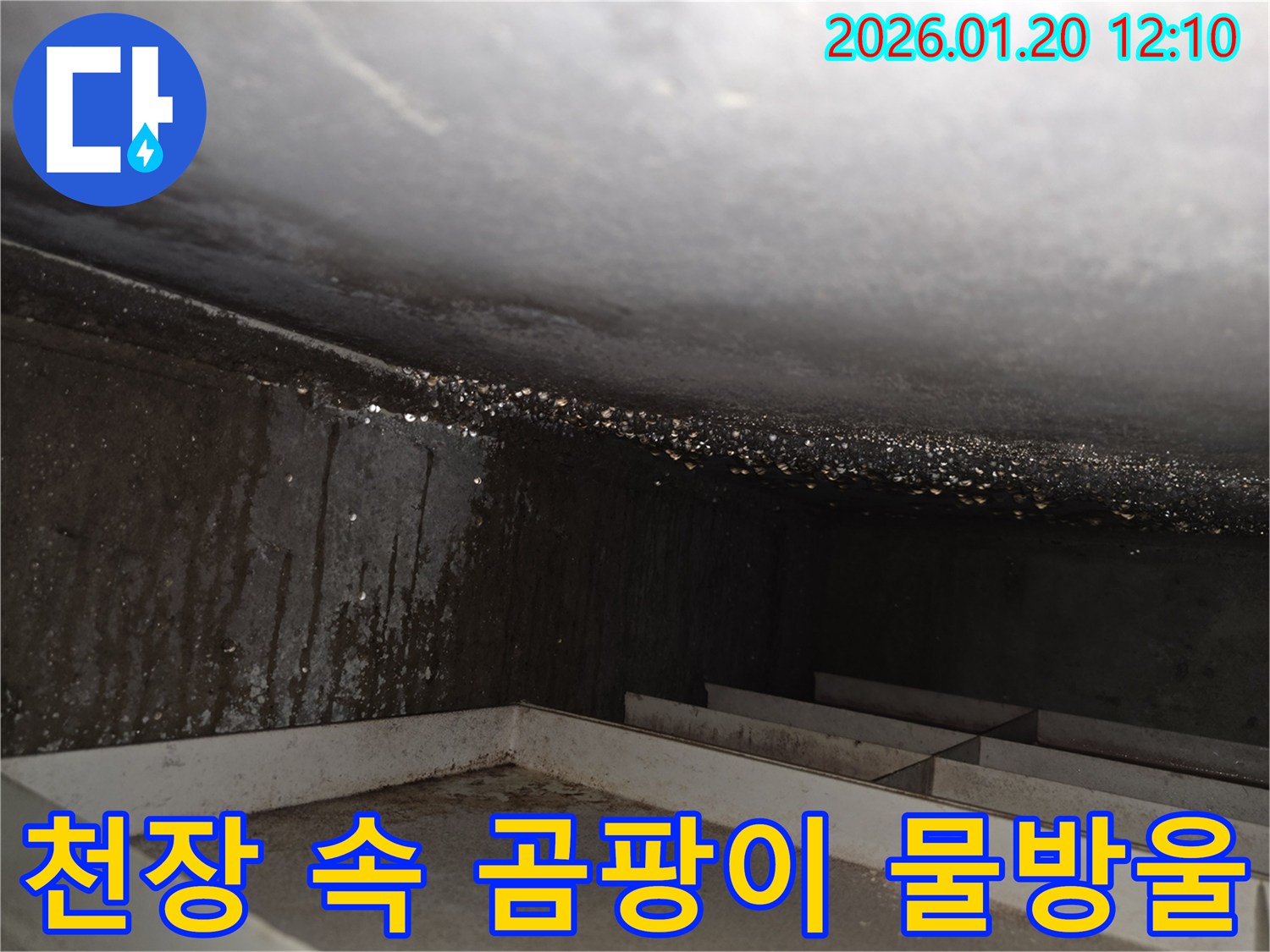안산 상록구 부곡동 - 천장 속 곰팡이와 물방울로 인한 심각한 누수 현장