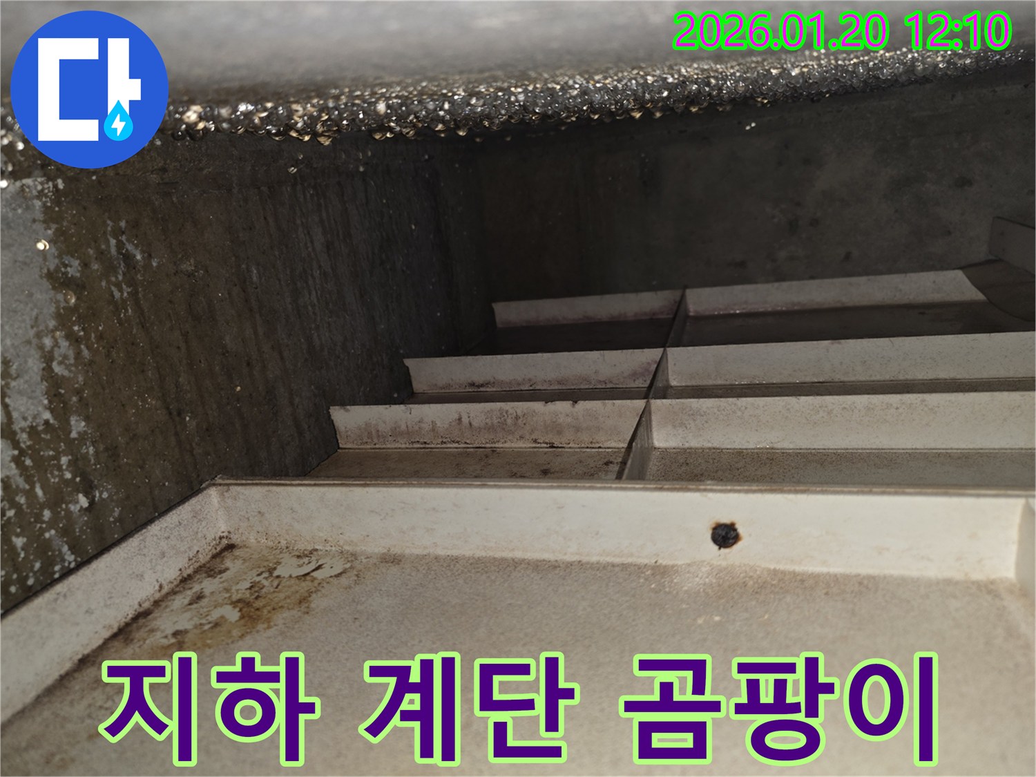 안산 상록구-지하 계단에-심각한 곰팡이와 습기로 인한-누수 흔적이 보입니다