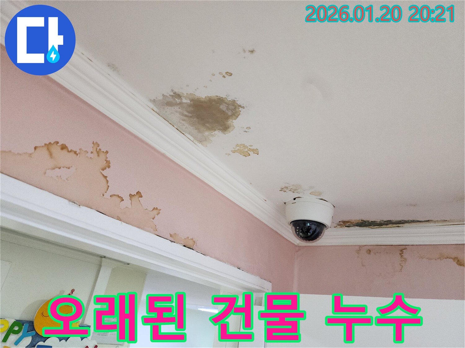 도곡동 오래된 건물에서 발생한 누수 현장 - 전문적인 진단과 시공의 중요성